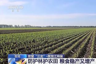 蒙蒂：博扬和康宁汉姆都将因伤缺席今日比赛